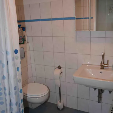 Blauer Seestern Allensbach