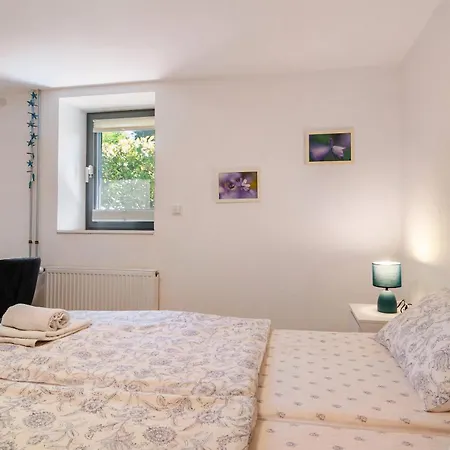 Blauer Seestern Lejlighed