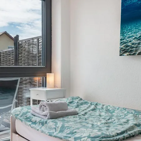 Blauer Seestern Allensbach